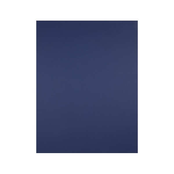 Cartulina liderpapel 50x65 cm 240g/m2 azul zafiro paquete de 25 unidades