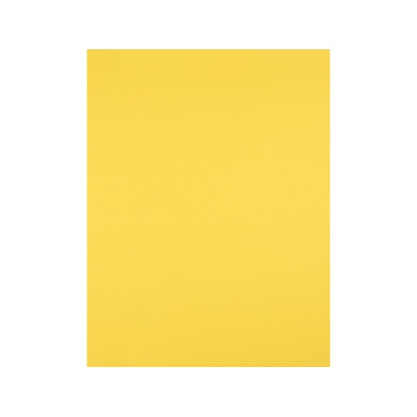Cartulina liderpapel 50x65 cm 240g/m2 amarillo limon paquete de 25 unidades