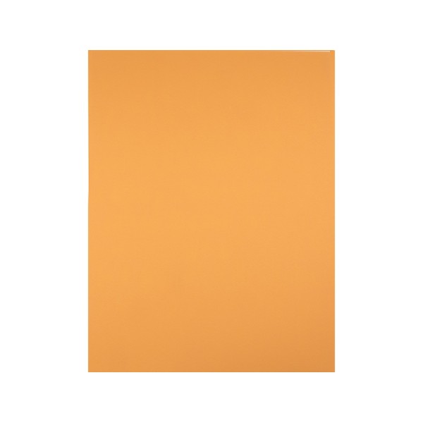 Cartulina liderpapel 50x65 cm 240 g/m2 avellana
