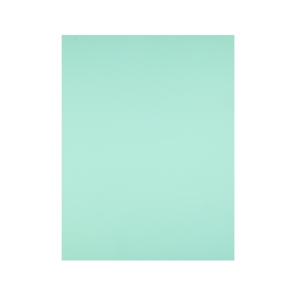 Cartulina liderpapel 50x65 cm 240g/m2 verde