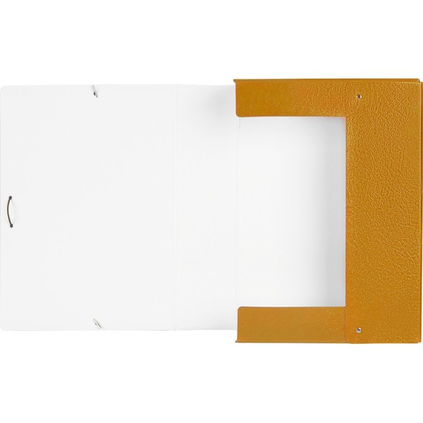 Carpeta proyectos liderpapel folio lomo 70mm carton gofrado verde