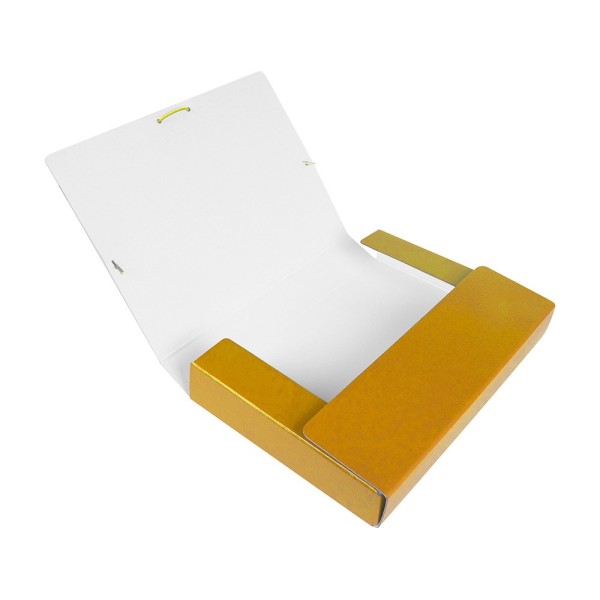 Carpeta proyectos liderpapel folio lomo 50mm carton gofrado amarilla
