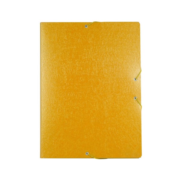 Carpeta proyectos liderpapel folio lomo 30mm carton gofrado amarilla