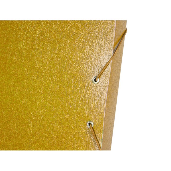 Carpeta proyectos liderpapel folio lomo 30mm carton gofrado amarilla