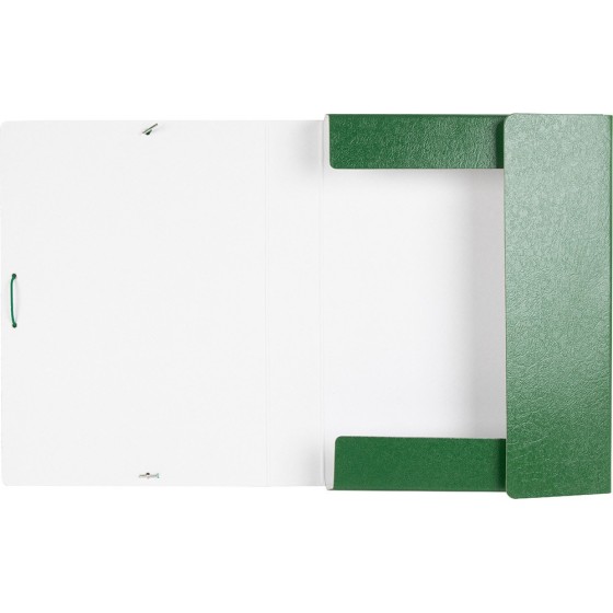 Carpeta proyectos liderpapel folio lomo 50mm carton gofrado verde