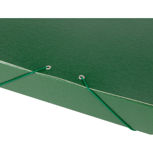 Carpeta proyectos liderpapel folio lomo 50mm carton gofrado verde
