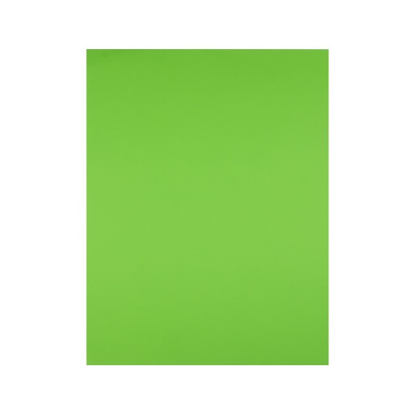 Cartulina liderpapel 50x65 cm 180g/m2 verde hierba