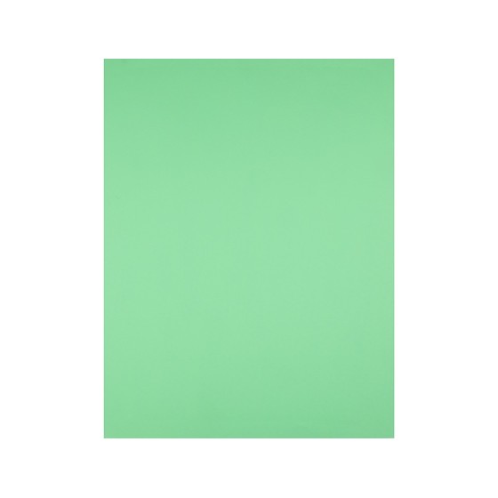 Cartulina liderpapel 50x65 cm verde pistacho 180 gr -unidad