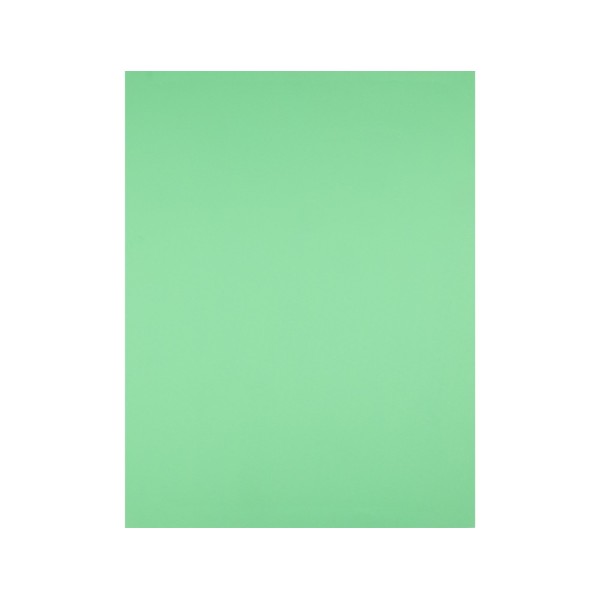 Cartulina liderpapel 50x65 cm verde pistacho 180 gr -unidad