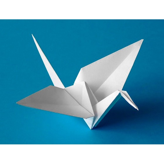 Cartulina liderpapel 50x65 cm 180g/m2 blanco