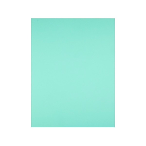 Cartulina liderpapel 50x65 cm 180g/m2 verde