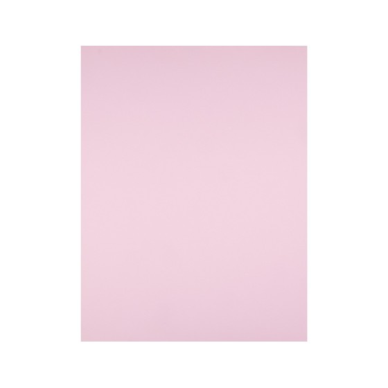 Cartulina liderpapel 50x65 cm 180g/m2 rosa
