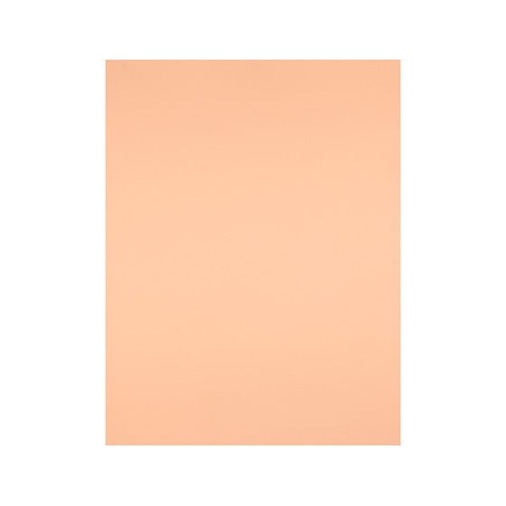 Cartulina liderpapel 50x65 cm 180g/m2 sepia