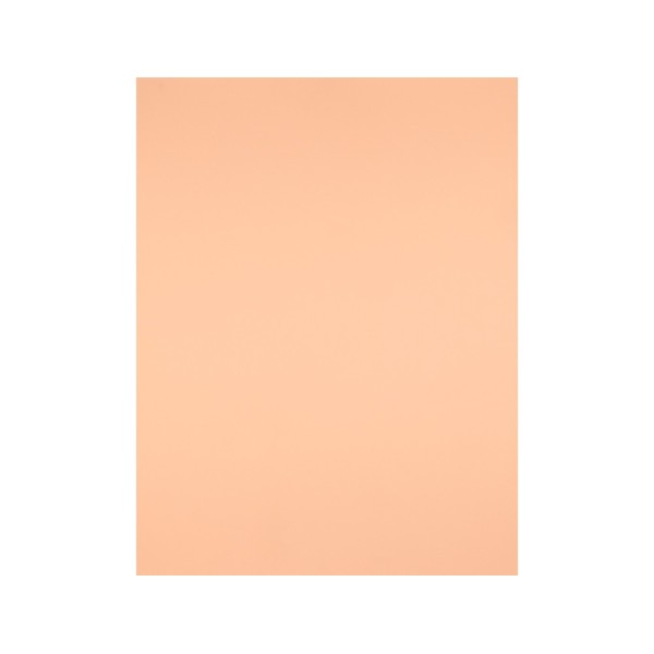 Cartulina liderpapel 50x65 cm 180g/m2 sepia