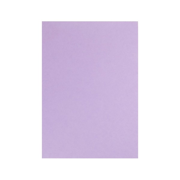 Cartulina liderpapel a4 180g/m2 lila paquete de 100 hojas