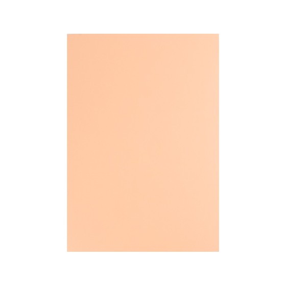 Cartulina liderpapel a4 180g/m2 salmon paquete de 100 hojas