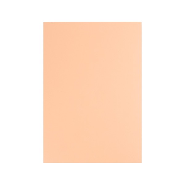 Cartulina liderpapel a4 180g/m2 salmon paquete de 100 hojas