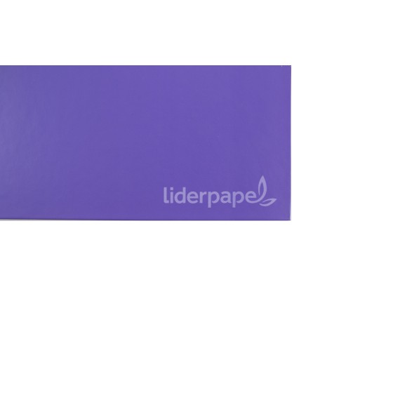 Cuaderno espiral liderpapel a5 micro jolly tapa forrada 140h 75 gr cuadro 5mm 5 bandas6 taladros colores surtidos