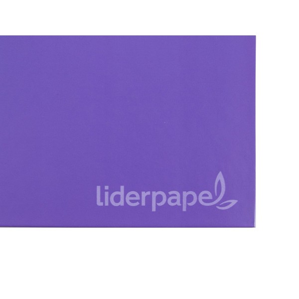 Cuaderno espiral liderpapel a4 micro jolly tapa forrada 140h 75 gr horizontal 5 bandas4 taladros colores surtidos