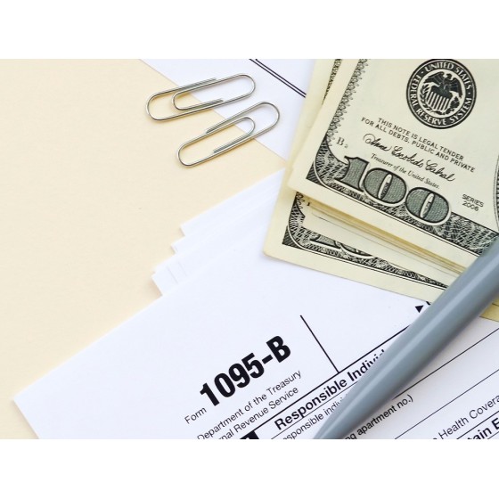 Clips liderpapel nº2 labiados 33 mm caja de 100 unidades