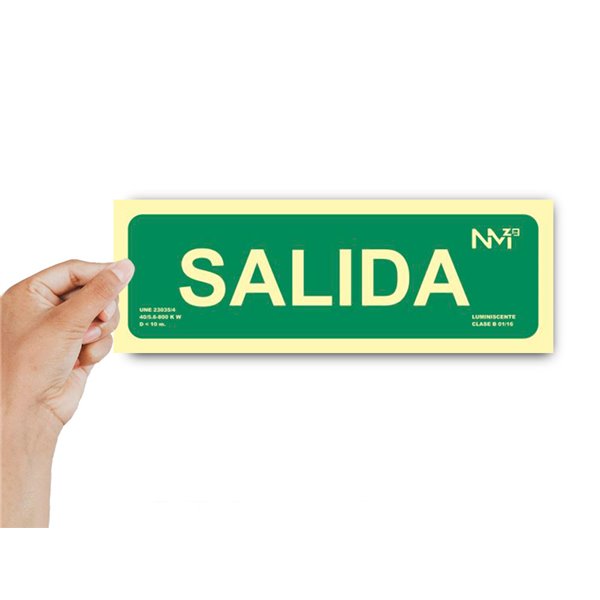 Pictograma Archivo 2000 Salida Pvc Verde Luminiscente 300X105 Mm Pack De 2 Unidades