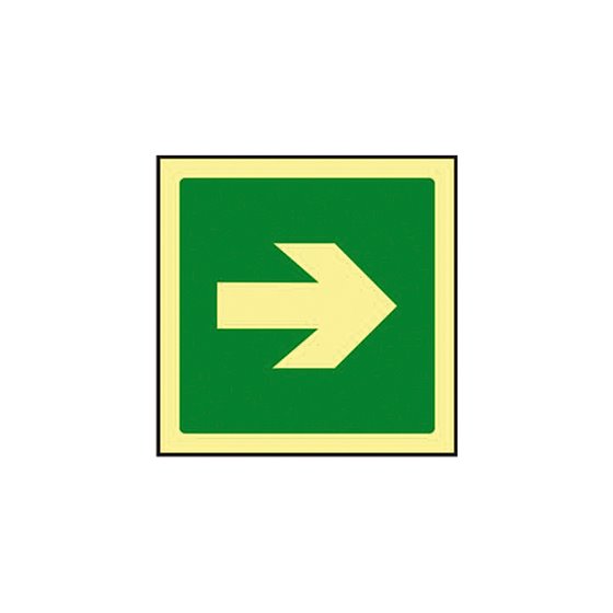 Pictograma Syssa Señal De Via De Evacuacion En Pvc Fotoluminiscente 224X224 Mm