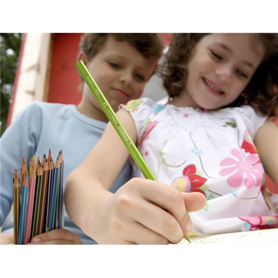 Lapices De Colores Stabilo Green Colors Con Certificado Fsc Estuche Carton De 18 Unidades Colores Surtidos