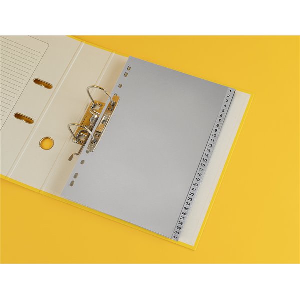 Separador Numerico Q-Connect Plastico 1-31 Juego De 31 Separadores Din A4 Multitaladro