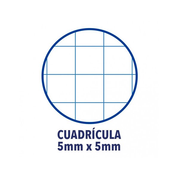 Recambio Color 1 Oxford Din A4+ 80 Hojas 90 Gr Cuadro 5 Mm 4 Taladros Color Turquesa