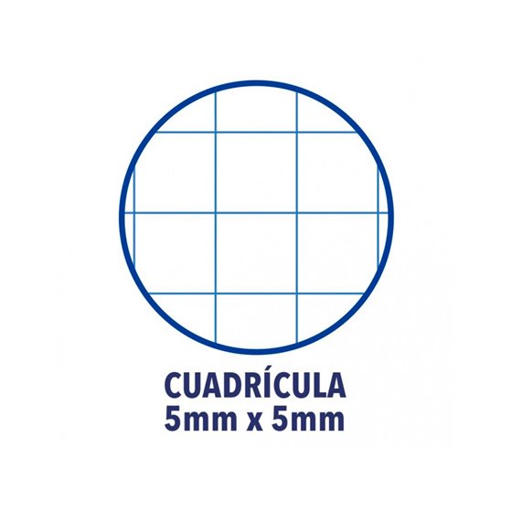 Recambio Color 1 Oxford Din A4+ 80 Hojas 90 Gr Cuadro 5 Mm 4 Taladros Color Amarillo