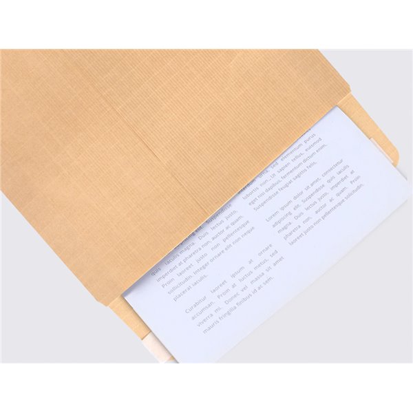 Sobre Liderpapel Bolsa Seguridad Kraft Marron Armado 120 Gr 229X324 Mm Unidad