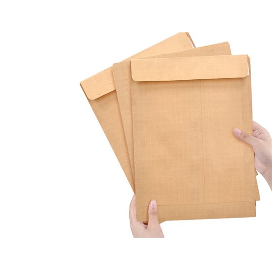 Sobre Liderpapel Bolsa Seguridad Kraft Marron Armado 120 Gr 229X324 Mm Unidad