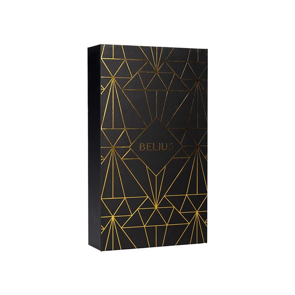 Pluma Y Estuche Belius Soiree Color Art Deco Negro Y Dorado Tinta Azul Caja De Diseño