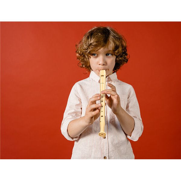 Flauta Hohner 9508 Color Marfil Funda Verde