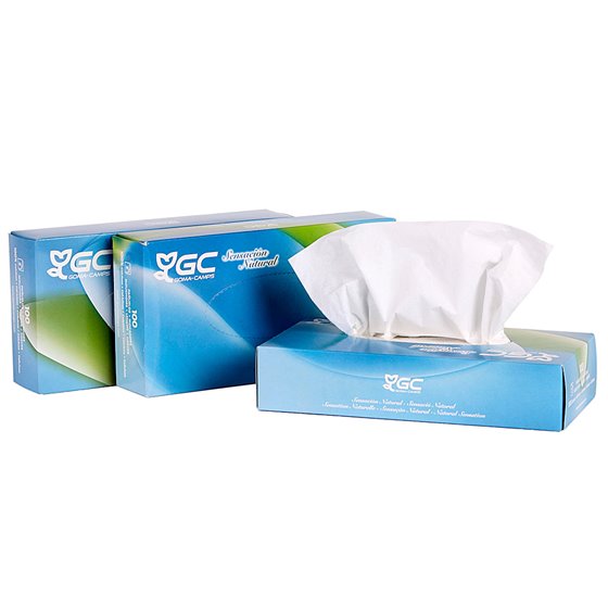 Pañuelo Tissu 2 Capas 21X20,7 Cm Caja De 100 Unidades