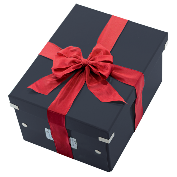 Caja De Almacenaje Grande Click & Store Wow En Forma De Cubo De Leitz Negro