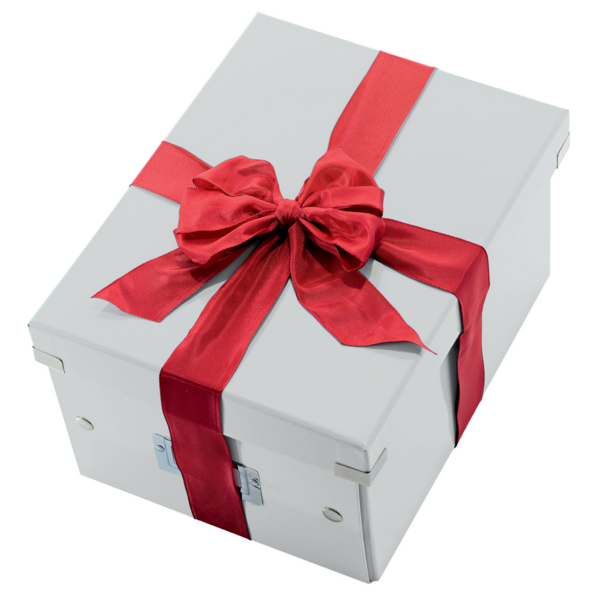 Caja De Almacenaje Mediana Click & Store Wow De Leitz Blanco