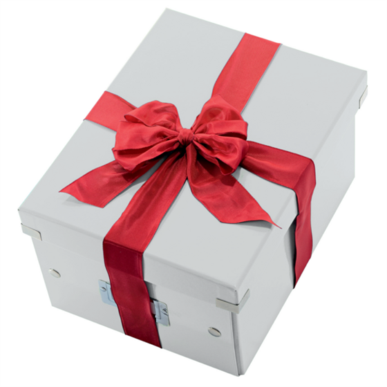 Caja De Almacenaje Pequeña Click & Store Wow De Leitz Blanco