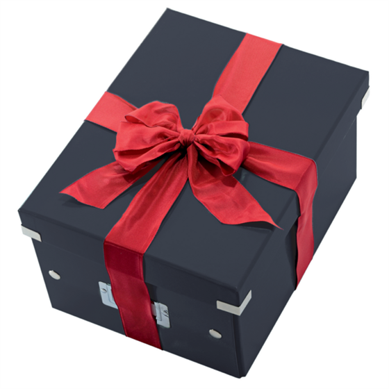 Caja De Almacenaje Pequeña Click & Store Wow De Leitz Negro