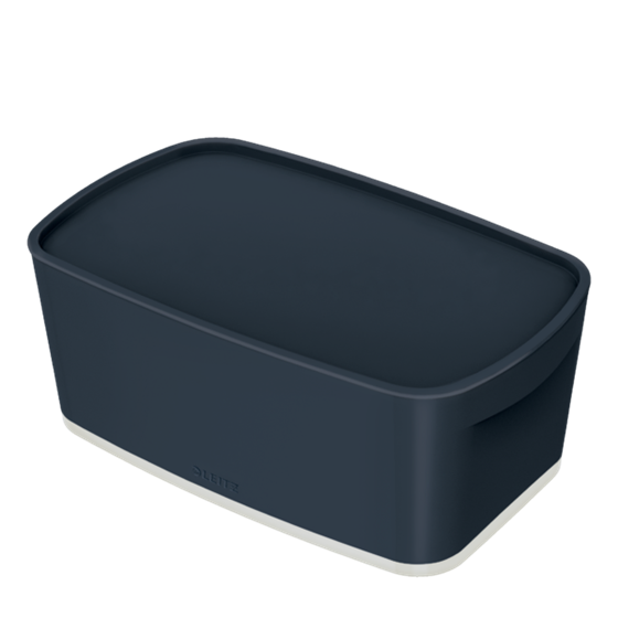 Leitz Mybox Cosy Pequeña Con Tapa, Caja De Almacenamiento Gris Terciopelo
