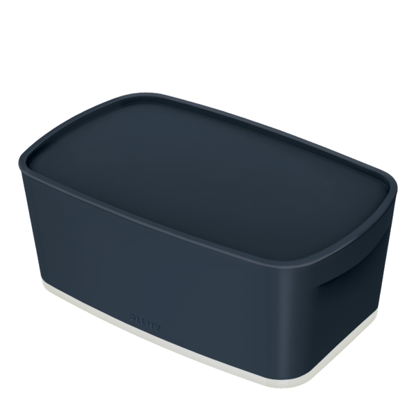 Leitz Mybox Cosy Pequeña Con Tapa, Caja De Almacenamiento Gris Terciopelo